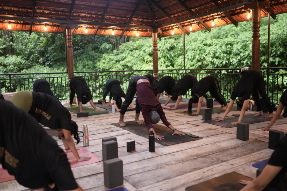 learn yoga online 2026